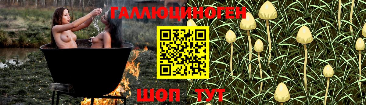 Псилоцибиновые грибы Psilocybine cubensis Петропавловск-Камчатский